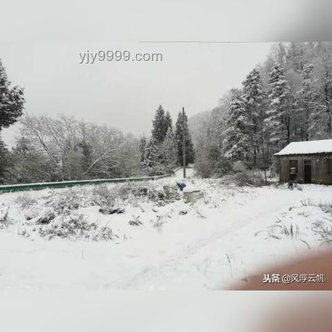 男子花20万娶妻后发现女方亲戚是演员：如何妥善处理并预防类似情况